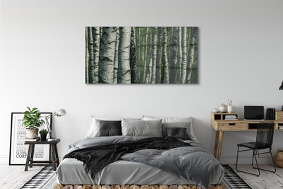 akrylový obraz březového lesa