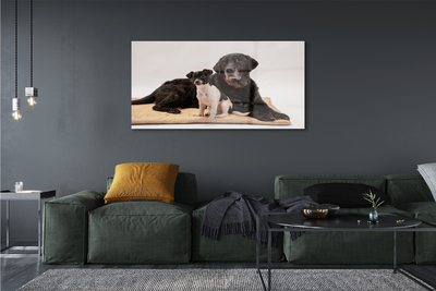 akrylový obraz ležící psi