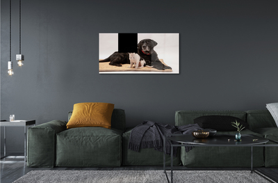 akrylový obraz ležící psi