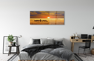 akrylový obraz Zebra západ mraky
