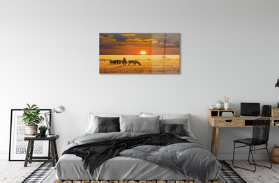 akrylový obraz Zebra západ mraky