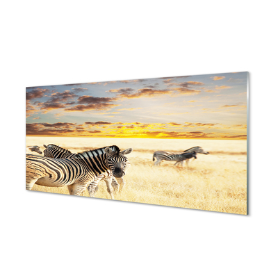 akrylový obraz Zebry pole sunset