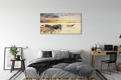 akrylový obraz Zebry pole sunset