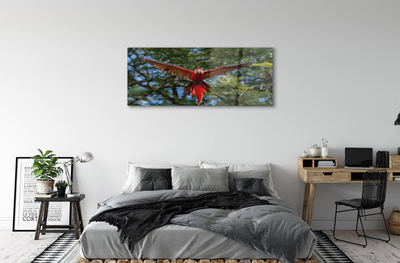 akrylový obraz ara papoušek