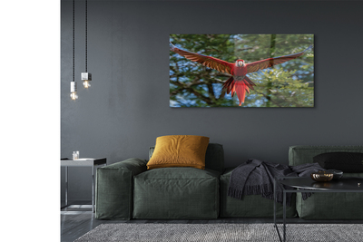 akrylový obraz ara papoušek