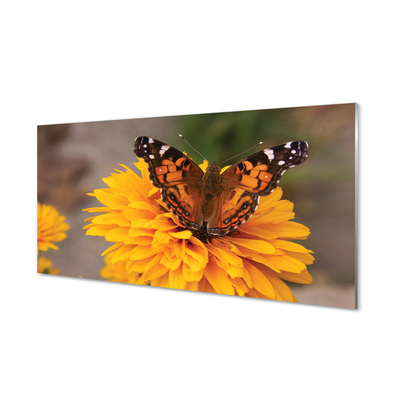 akrylový obraz Barevný motýl květina