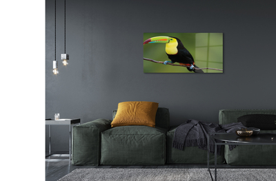 akrylový obraz Barevné papoušek na větvi