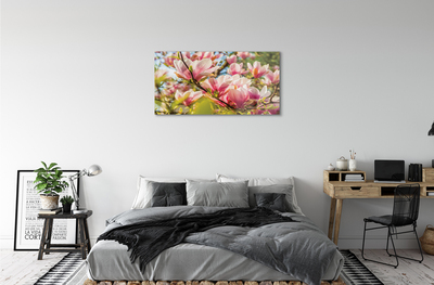 akrylový obraz růžová magnolie