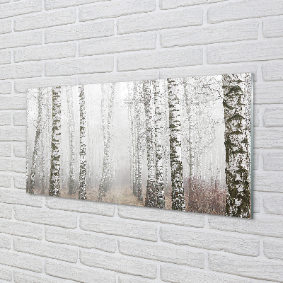 akrylový obraz mlha bříza