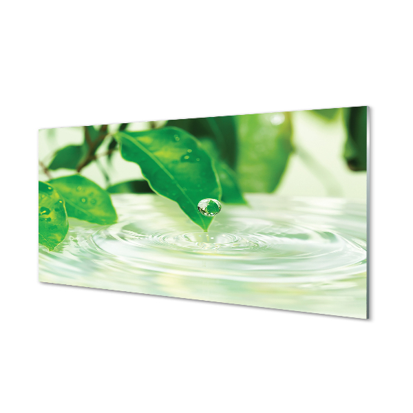 akrylový obraz Kapky vody listí