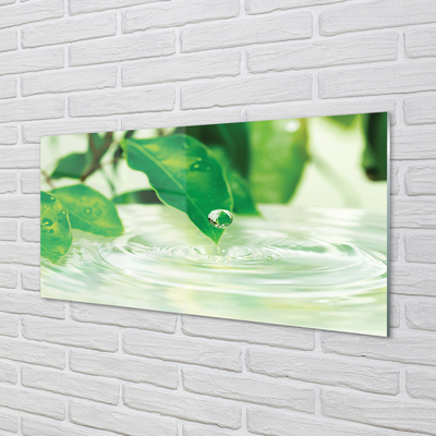 akrylový obraz Kapky vody listí