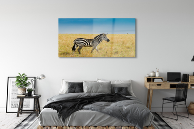 akrylový obraz Zebra box