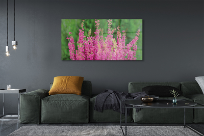 akrylový obraz květiny vřesy