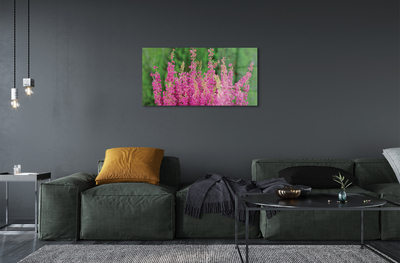 akrylový obraz květiny vřesy