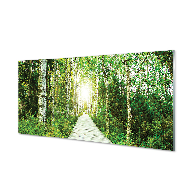 akrylový obraz Bříza lesní cesta