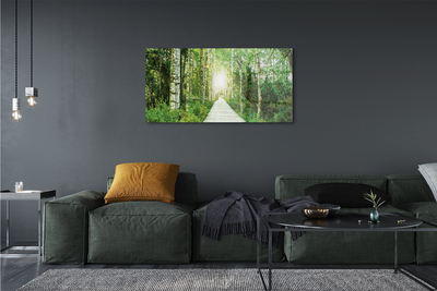 akrylový obraz Bříza lesní cesta