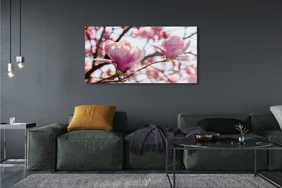 akrylový obraz magnolie strom