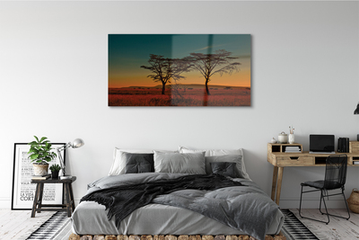 akrylový obraz oblohy stromu