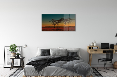 akrylový obraz oblohy stromu