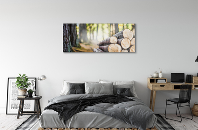akrylový obraz Dříví prales přírodě