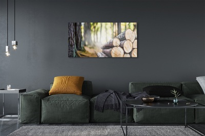 akrylový obraz Dříví prales přírodě