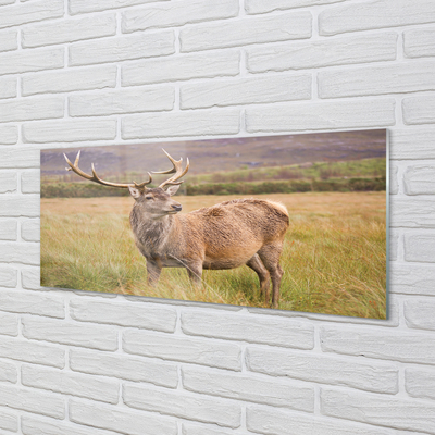 akrylový obraz polní jelen