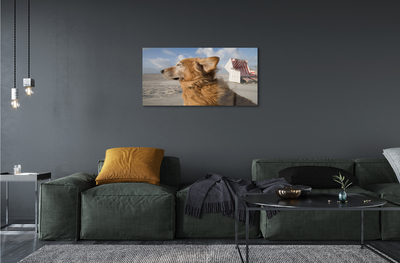 akrylový obraz Hnědý pes beach