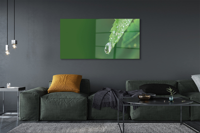 akrylový obraz Kapka vody listí