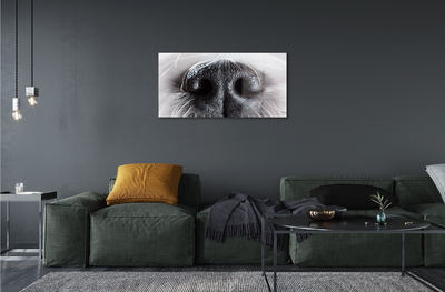 akrylový obraz psí čumák