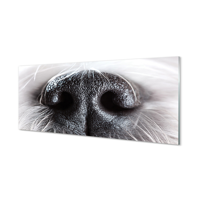 akrylový obraz psí čumák