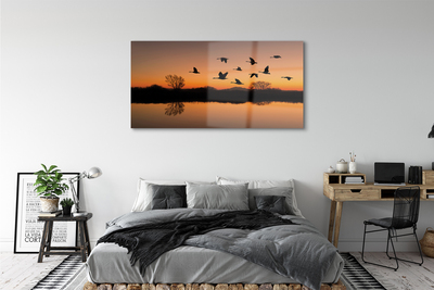 akrylový obraz Létající ptáky sunset