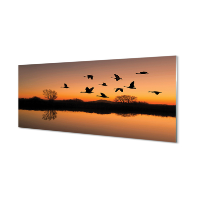 akrylový obraz Létající ptáky sunset