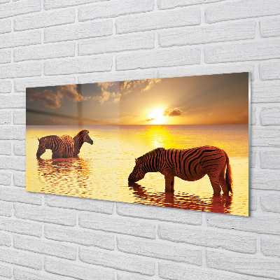 akrylový obraz Zebry voda západ slunce