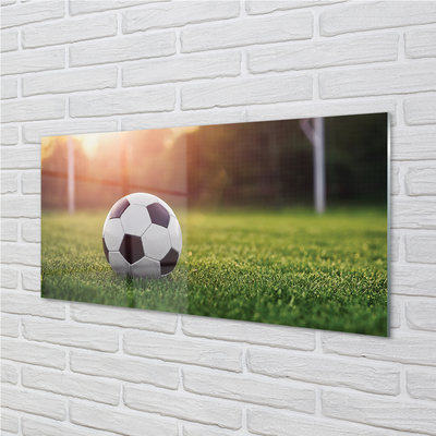 akrylový obraz Fotbal tráva gateway