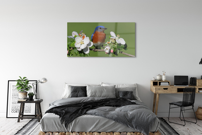 akrylový obraz Květiny barevné papoušek