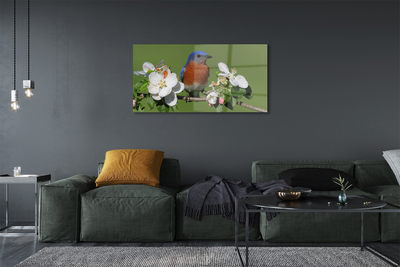 akrylový obraz Květiny barevné papoušek