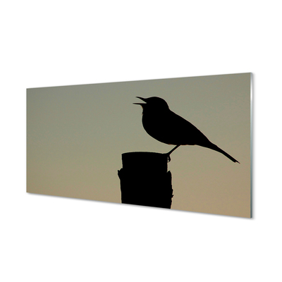 akrylový obraz černý pták