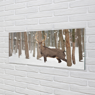 akrylový obraz Jelen zimní les