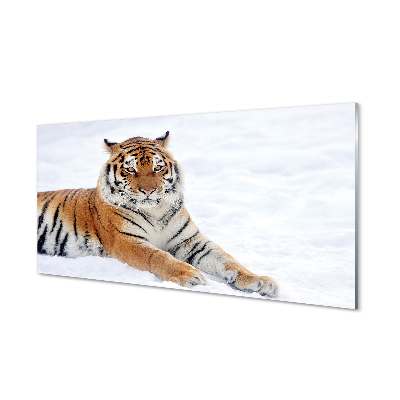 akrylove-obrazy-tiger-winter