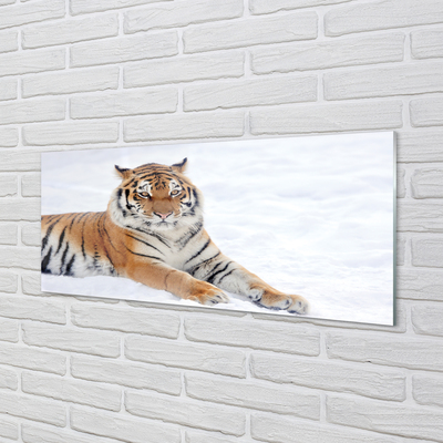 akrylový obraz Tiger winter
