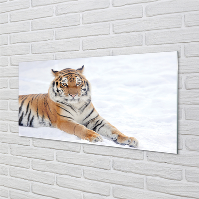 akrylový obraz Tiger winter