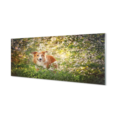 akrylový obraz Psí lesní květiny