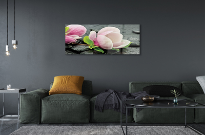 akrylový obraz Magnolia kameny