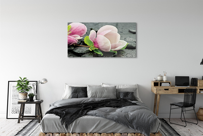 akrylový obraz Magnolia kameny