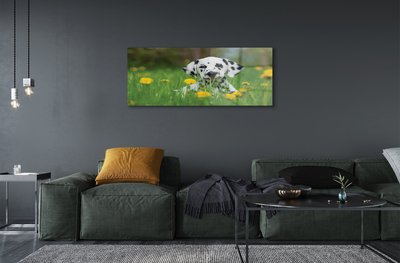 akrylový obraz prerijní pes