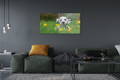 akrylový obraz prerijní pes
