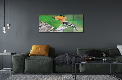 akrylový obraz Strom barevný papoušek