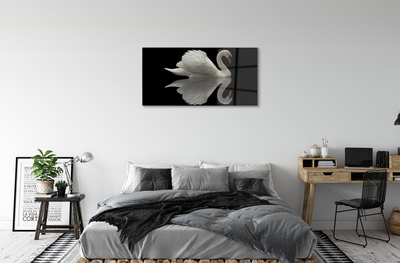 akrylový obraz Swan v noci