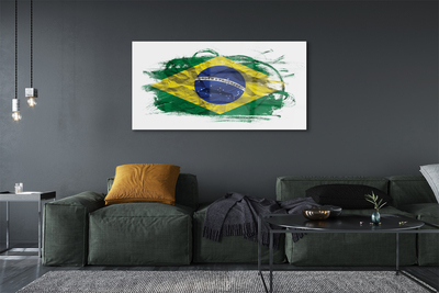 akrylový obraz brazilská vlajka