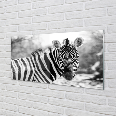 akrylový obraz retro zebra